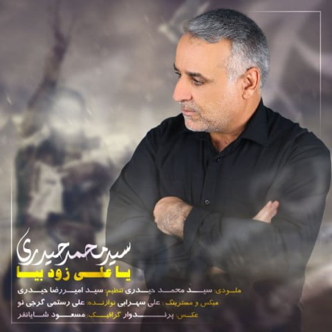 سید محمد حیدری یاعلی زود بیا
